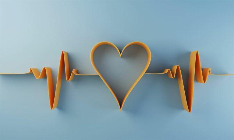 Heart and heartbeat monitor design